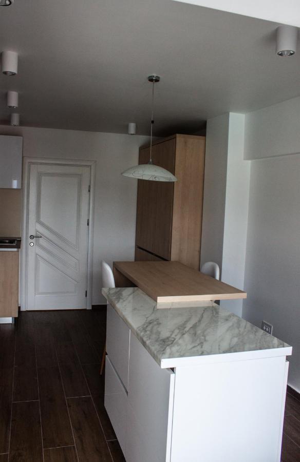 Eurocomfort Apartments Piatra Neamţ Zewnętrze zdjęcie